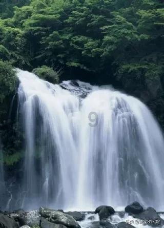 小猫钓鱼正版下载中文版